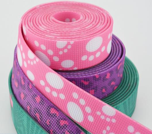 Coated Webbing-20_副本.jpg